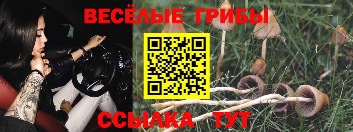 Галлюциногенные грибы ЛСД  Галлюциногенные грибы Magic Shrooms  Углич  Вход с VPN 
